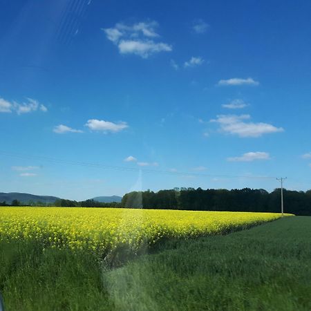 Agroturystyka "Jagap" Oaza Spokoju Dzierżoniów Εξωτερικό φωτογραφία
