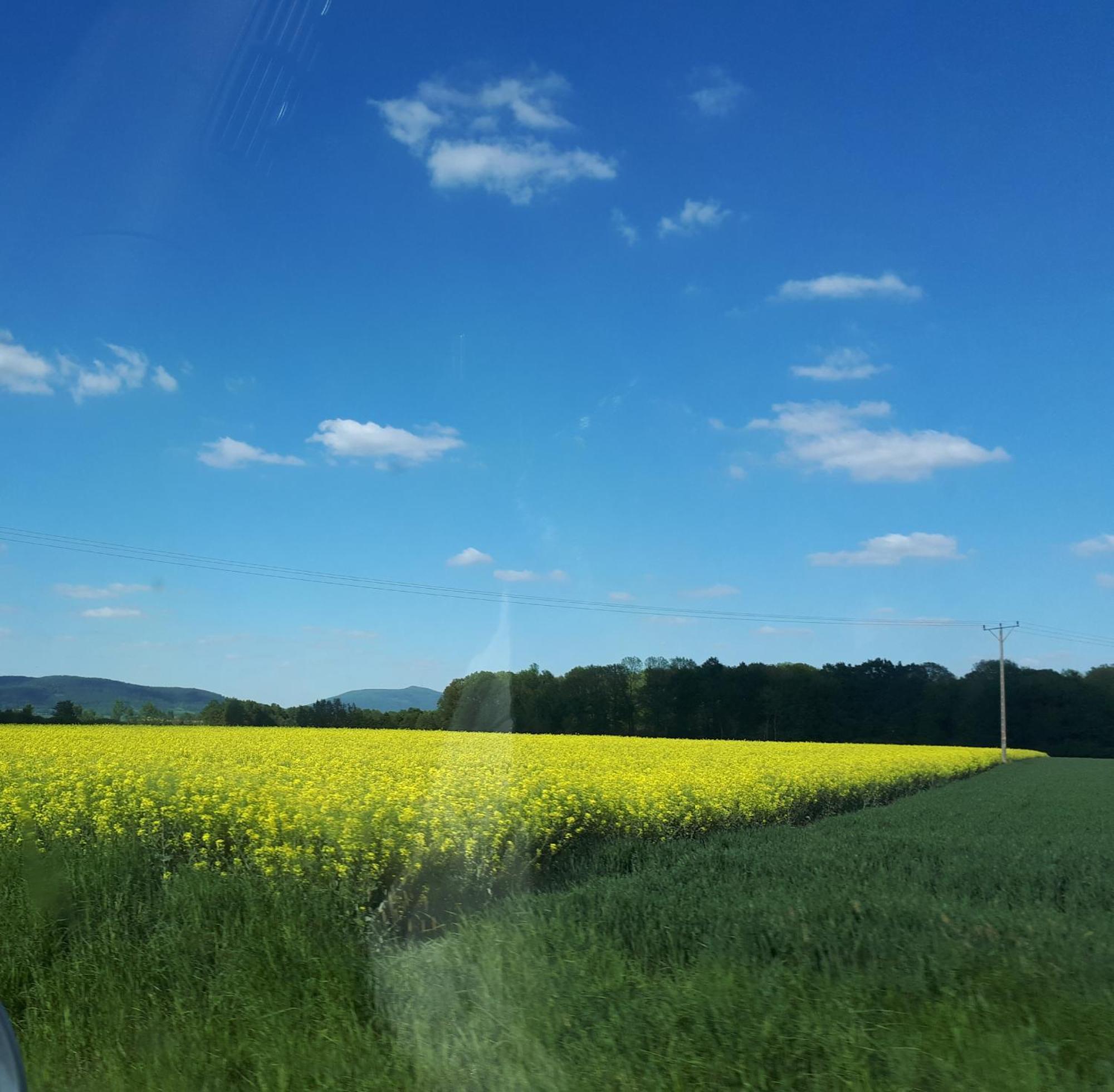 Agroturystyka "Jagap" Oaza Spokoju Dzierżoniów Εξωτερικό φωτογραφία