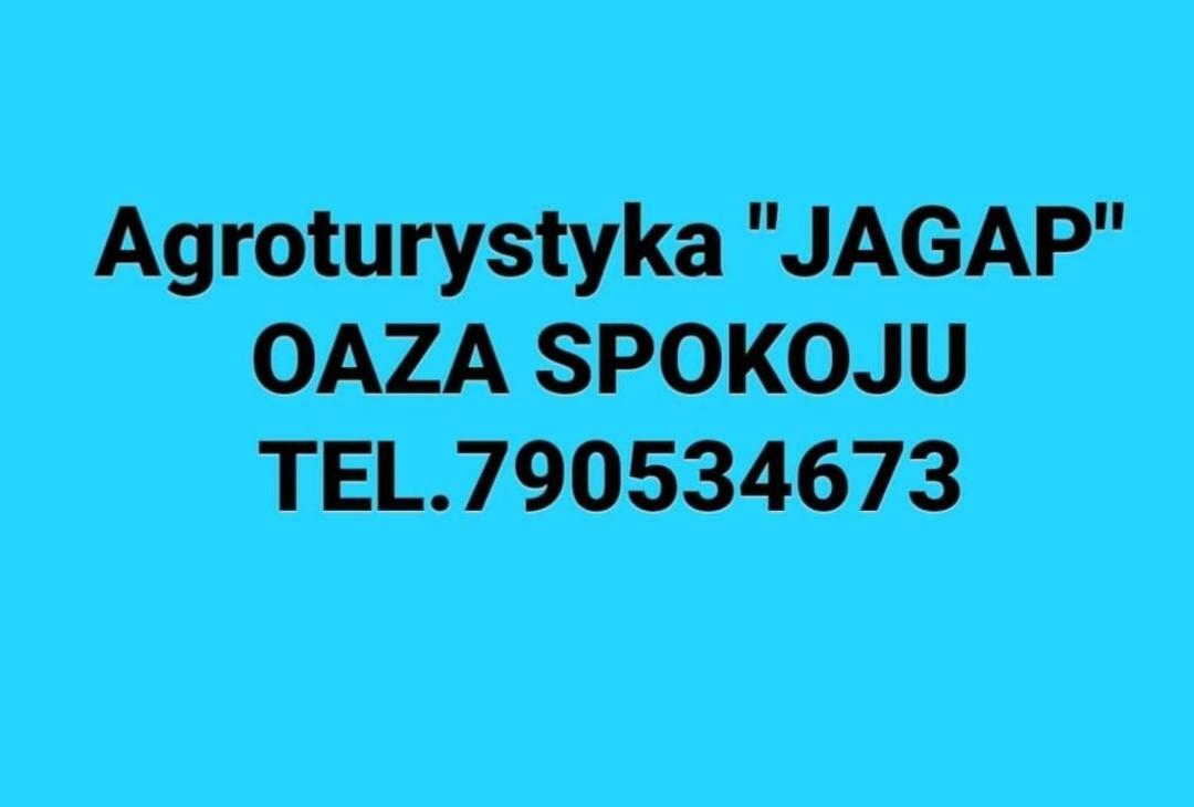 Agroturystyka "Jagap" Oaza Spokoju Dzierżoniów Εξωτερικό φωτογραφία