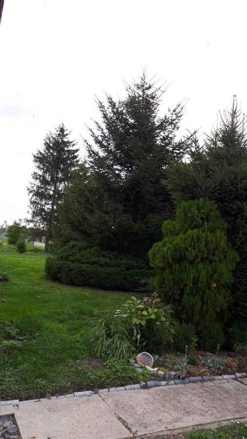 Agroturystyka "Jagap" Oaza Spokoju Dzierżoniów Εξωτερικό φωτογραφία